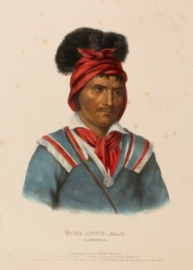 Foke-Luste-Hajo.一个塞米诺尔人，选自《北美印第安部落史 作者 查尔斯·伯德·金