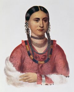 Hayne Hudjuhini或“令人愉快的鹰”，插图来自&39;北美印第安部落，第1卷&39;，作者：Thomas L. McKenney和James Hall，酒吧。约翰格兰特