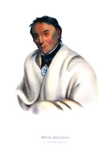 Metakoosega（"纯正的烟草"），一个Chippeway战士 作者 查尔斯·伯德·金