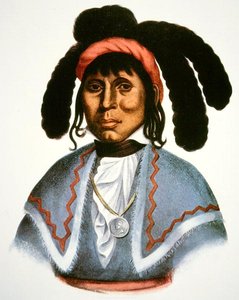 Micanopy (d.1849) c.1826 (彩色平版印刷) 作者 查尔斯·伯德·金