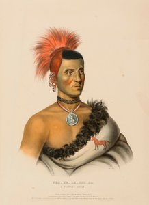 PES-KE-LE-CHA-CO, A PAWNEE CHIEF. 作者 查尔斯·伯德·金