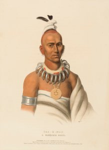 TAI-O-MAH。北美印第安部落史》中的一位穆斯夸基勇士 作者 查尔斯·伯德·金