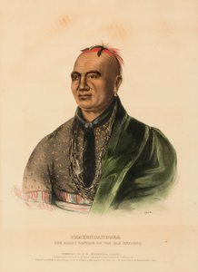 THAYENDANEGEA.六族大统领》，选自《北美印第安部落史 作者 查尔斯·伯德·金