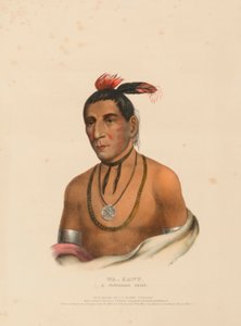 WA-KAWN, A WINNEBAGO CHIEF.