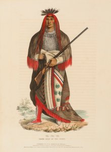 WA-NA-TA.索克斯族大酋长，选自《北美印第安部落史