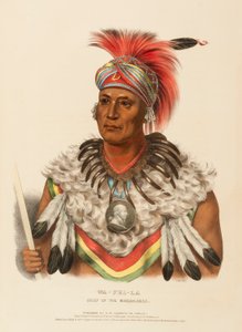 WA-PEL-LA.穆斯夸克首领，选自《北美印第安部落史