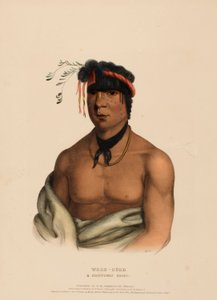韦什-库布一位奇普韦首领，选自《北美印第安部落史 作者 查尔斯·伯德·金