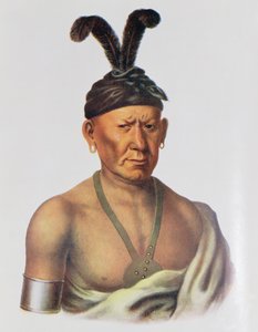 Wakechai或&39;Crouching Eagle&39;，一位Sauk酋长，来自&39;北美印第安部落，Vol.2&39;的插图，由Thomas L. McKenney和James Hall，pub。约翰格兰特