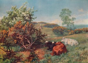 牛群景观，多尔金，c1899
