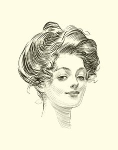 社会阶梯的插图 作者 查尔斯·达纳·吉布森