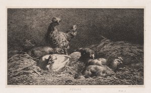 1867年的Poutes鸡。 作者 查尔斯·埃米尔·雅克