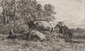 荷兰牛，1864年。 作者 查尔斯·埃米尔·雅克
