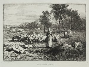 猪群，1868年。 作者 查尔斯·埃米尔·雅克