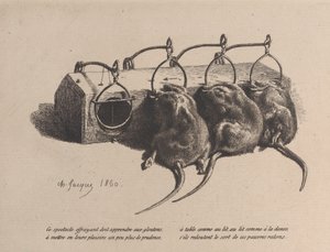 捕鼠器，1860年。 作者 查尔斯·埃米尔·雅克