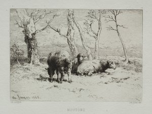 绵羊，1868年。