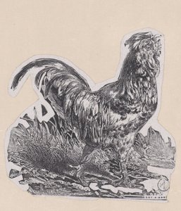 公鸡》，约1853年。 作者 查尔斯·埃米尔·雅克
