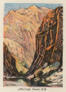 南非：Meiring