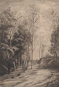 小鸟，1850年。 作者 查尔斯·弗朗索瓦·杜比尼