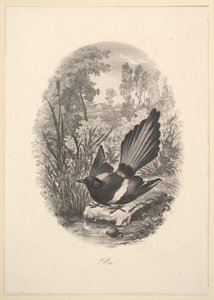 喜p，1843年。 作者 查尔斯·弗朗索瓦·杜比尼