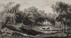 带雄鹿的泳池，1845年。 作者 查尔斯·弗朗索瓦·杜比尼