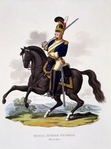 皇家骑兵卫队“布鲁斯”的制服，来自“大英帝国的服饰，根据最后的规定”，出版于1812-15（手工彩色的aquatint）