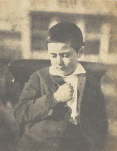 泽西岛弗洛将军的儿子 Le fils du général Flô, c. 185253。 作者 查尔斯·雨果