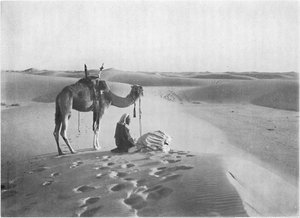 沙漠中的日落祈祷，c1913
