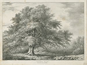 利奇菲尔德-[“约翰逊博士”]柳树：石版画，[1789-1850]