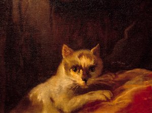 Mademoiselle de Charolais 细节代表猫。 查尔斯·约瑟夫·纳图尔 (Charles-Joseph Natoire) 的绘画 作者 查尔斯·约瑟夫·纳托尔