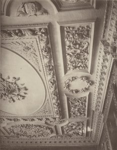 Melton Constable，绘图室的天花板 作者 查尔斯·拉瑟姆（Charles Latham）