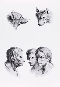 狼人与男人之间的相似之处，来自Le Brun的“开始画画的人像”