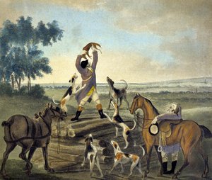 Who...op, Was Never So Carried, from The Pytchley Hunt, engraved by F. Dukes