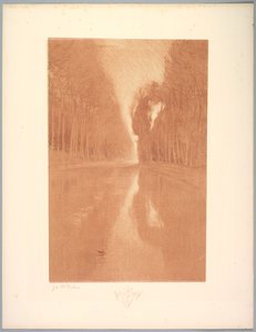 景观套件：景观，板块2，笔记，星光花，1892-1893年。 作者 查尔斯·玛丽·杜拉克