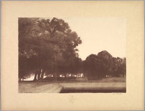 风景组曲风景，第 7 版，雷马克，罂粟花 作者 查尔斯·玛丽·杜拉克