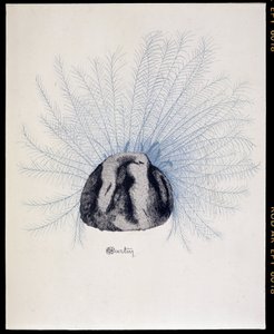父亲的帽子 - Marcelle Demay 的“La Mode en 1912”，Charles Martin 插图（1884-1934） 作者 查尔斯·马丁