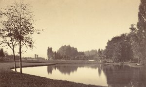 布洛涅森林，1858 年（照片） 作者 查尔斯·马维尔