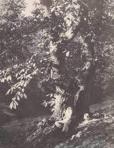 躺在栗子树脚下的男子，1850-53年。 作者 查尔斯·马维尔