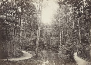 母鹿的池塘，布洛涅Bois de Boulogne