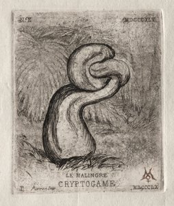 The Sickly Cryptogam，1860年。 作者 查尔斯·梅里昂