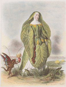 Nenuphar，选自《Fleurs Animées》，1847年。