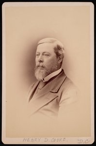 亨利-大卫-库克1825-1881年的肖像，1881年之前。