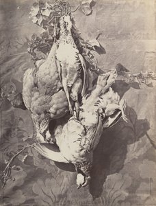 [静物与野鸟]，1859年。 作者 查尔斯·内格雷