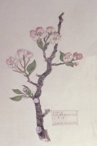 Apple，Walberswick，1915年（铅笔和wc） 作者 查尔斯·雷尼·麦金托什