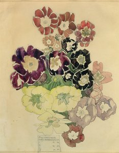 Polyanthus，Walberswick，1915 作者 查尔斯·雷尼·麦金托什
