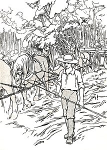 定居者清理土地，1912年 作者 查尔斯·罗宾逊