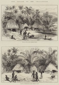 HMS挑战者的航程 作者 Sir John Charles Robinson