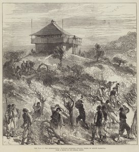 黑塞哥维那的战争，土耳其士兵砍伐卡拉拉山上的树木