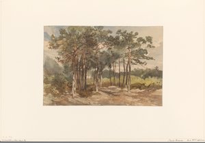 Driebergen 附近树林中的树丛 作者 查尔斯·罗森（Charles Rochussen）