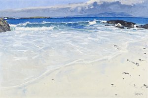 暴风雨之后，艾奥纳，2010 年（布面油画） 作者 查尔斯·辛普森