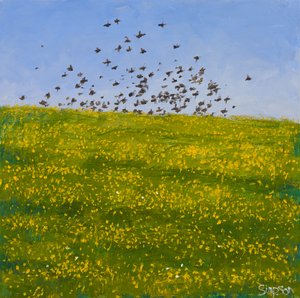 椋鸟与毛茛，艾奥纳，2015 年（布面油画） 作者 查尔斯·辛普森